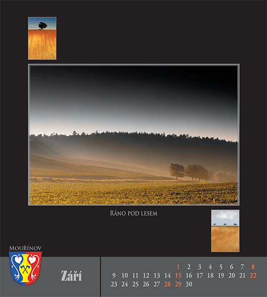 09-zari.png - 09