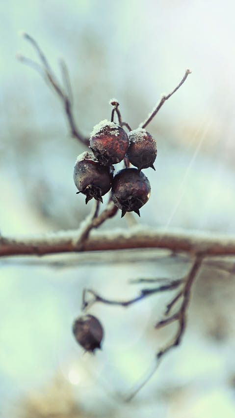 20210215_001748.jpg - Šípky ii.