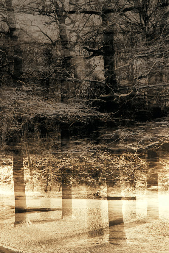 IMG_4027.jpg - Feelin' dizzy (A)