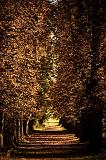 IMG_3187