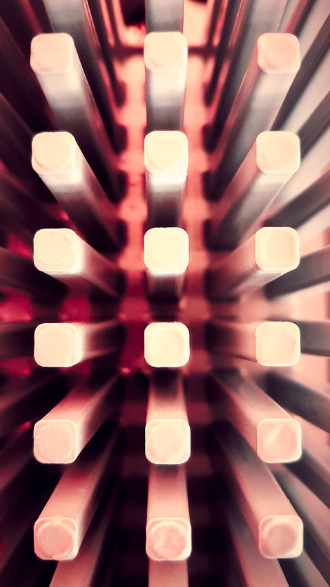 20210325_154031.jpg - Ježko