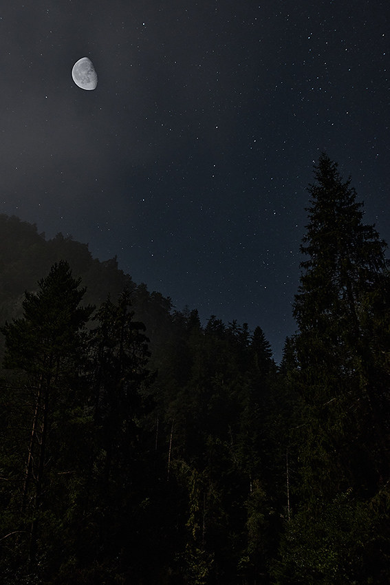 IMG_2643CWM.jpg - Po daždi jasno