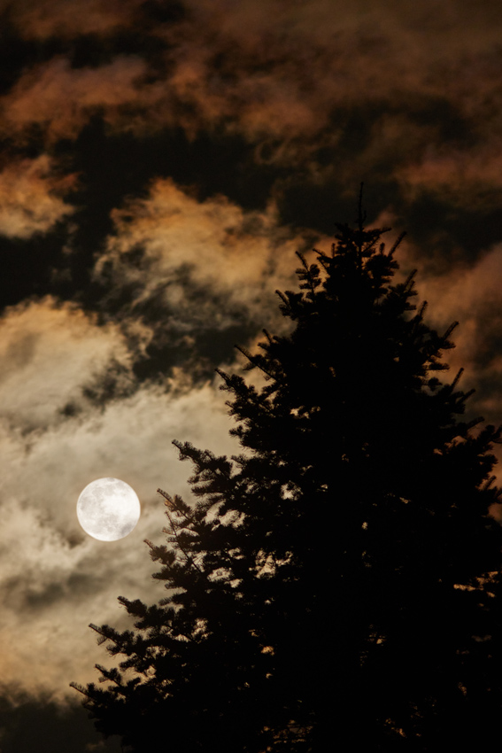 IMG_43314327_3x2.jpg - Vychádzajúci spln 2021-02-27