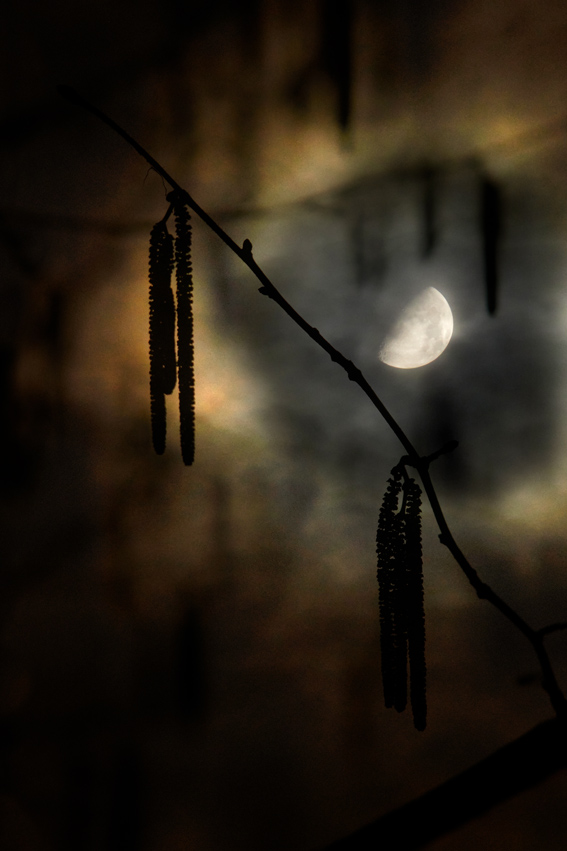 IMG_4644+4646A.jpg - Prvá štvrť 2021-03-22