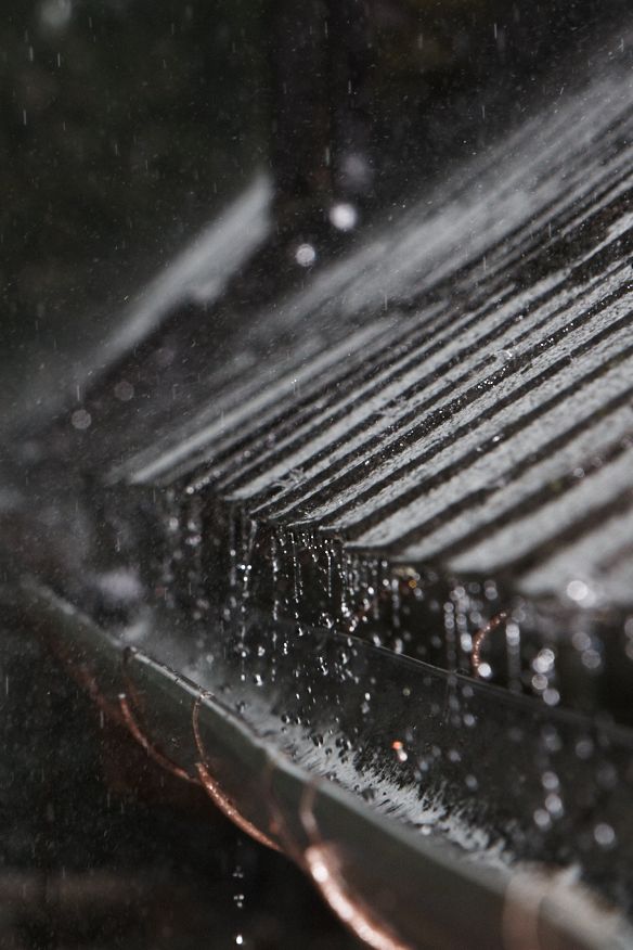 IMG_1011.jpg - Čas nečasu