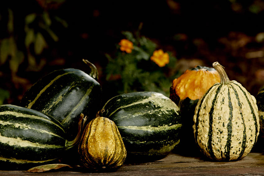 IMG_3097HDR.jpg - Jesenná téma ii.