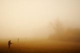 IMG_1156A