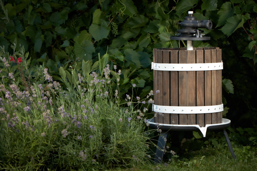 IMG_7216.jpg - Lis po renovácii ii.