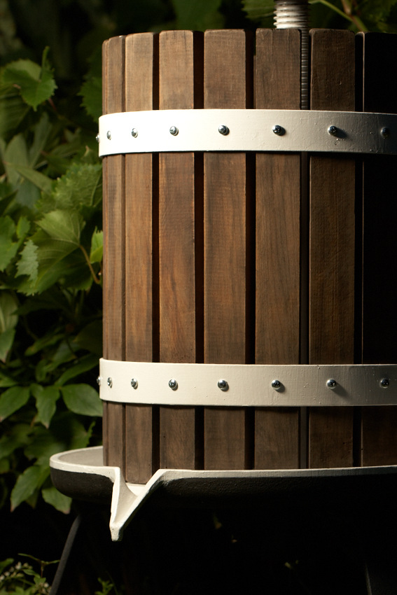 IMG_7251.jpg - Lis po renovácii i.