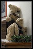 IMG_5525AM