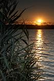 IMG_1566
