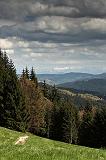 IMG_5536