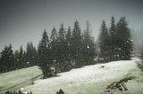 IMG_5566