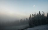 IMG_5571