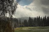 IMG_5575
