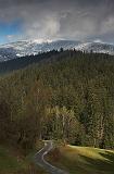 IMG_5590