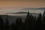 IMG_5676