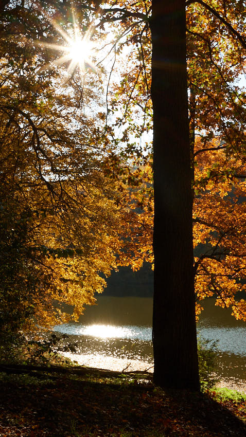 IMG_3228.jpg - Pri Lesnom rybníku