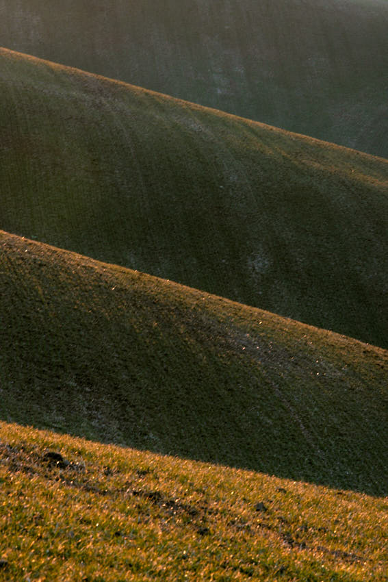 IMG_4364.jpg - Manchester United i.