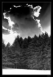 IMG_6137ABWM