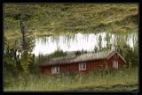 IMG_5004M