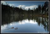 IMG_2551XL