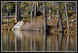 IMG_2556XL