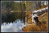 IMG_2561XL