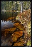 IMG_2571XL