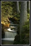 IMG_2577XL