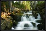 IMG_2584XL