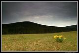 IMG_2709XL