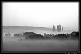 IMG_3615M