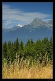 IMG_6353M