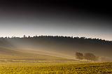 IMG_2080