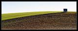 IMG_4213M