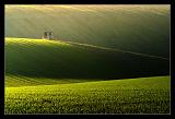 IMG_4231M