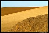 IMG_4244M