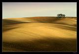 IMG_4815M