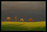 IMG_5429M