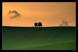 IMG_7969M