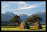 tatry
