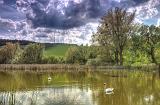 IMG_9665abc