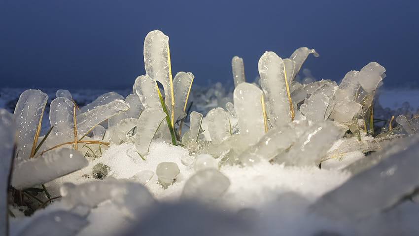 20210209_162519.jpg - Doba ľadová i.