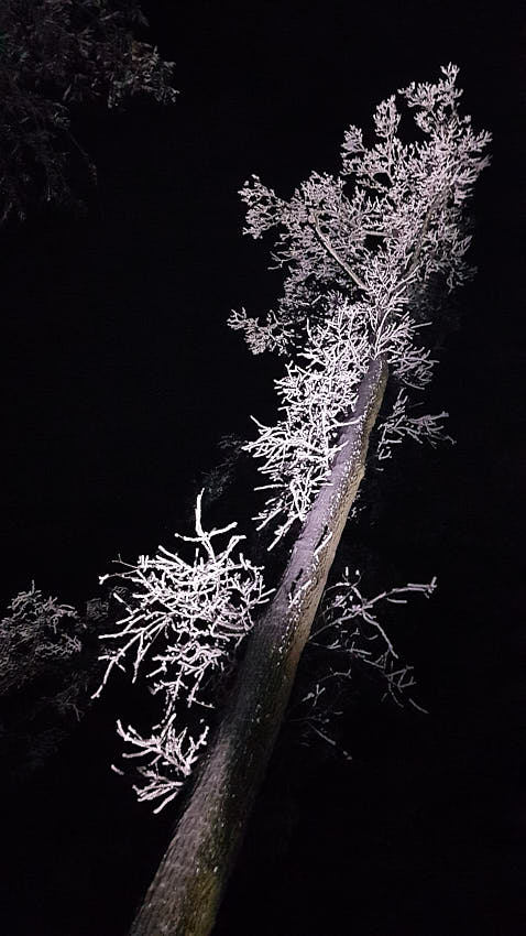 20210209_181436.jpg - Doba ľadová ii.