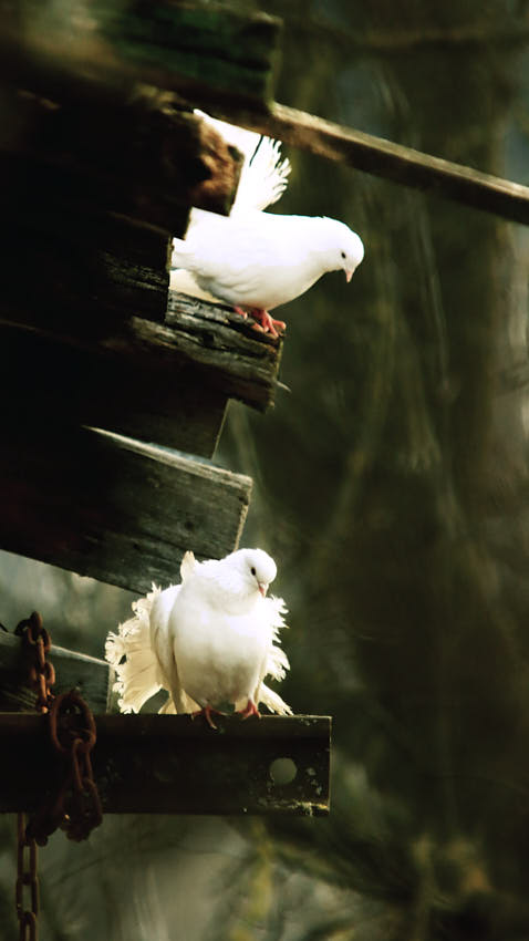 20210315_171659.jpg - Partneri