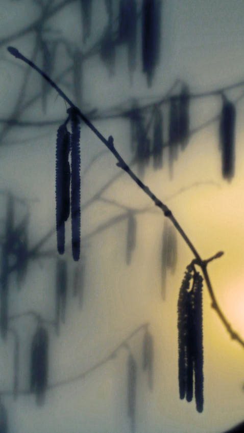 20210323_013223.jpg - Nočný život liesky