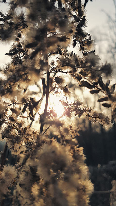 20210323_032033.jpg - Nálada...