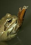 IMG_9051