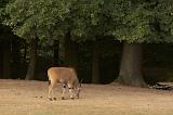 IMG_7824
